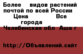 Более200 видов растений почтой по всей России › Цена ­ 100-500 - Все города  »    . Челябинская обл.,Аша г.